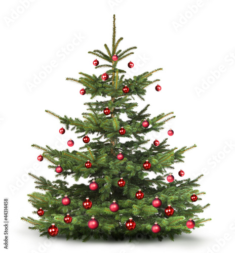 quot geschm 252 ckter weihnachtsbaum quot stockfotos und lizenzfreie quot geschm 252 ckter weihnachtsbaum quot stockfotos und lizenzfreie