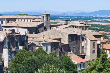 Panoramic view of Montefiascone. Lazio.  Italy.