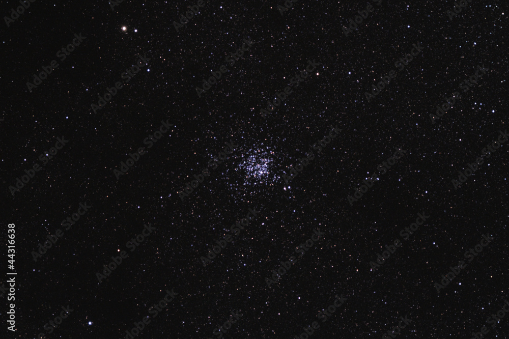 Canvas Prints starfield with wild duck cluster (m11)
