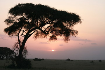 Sunset in Kenya
