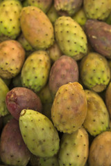 prickly pears