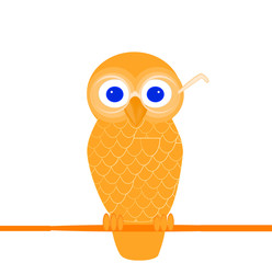 wise owl
