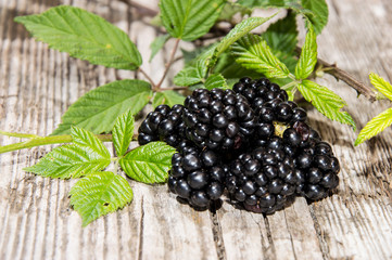 Small heap of Blackberries