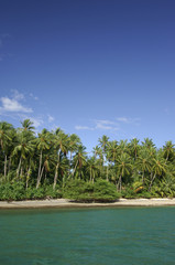 Coiba island
