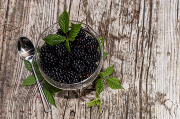 Bowl with fresh Blackberries