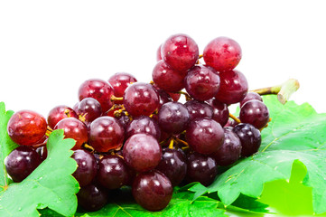 Red grapes with fresh leaves, isolated on white background.