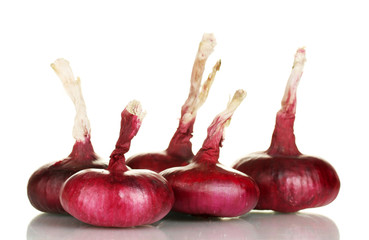 red onion isolated on white background