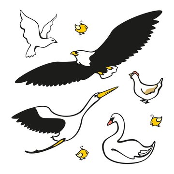 Set of images of birds