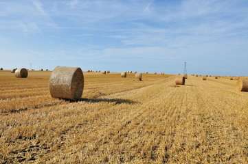 Fototapeta premium Ballots de paille dans l'EURE