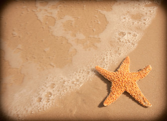 Fototapeta na wymiar Ocean And Starfish