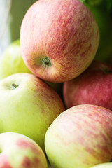 green red apples