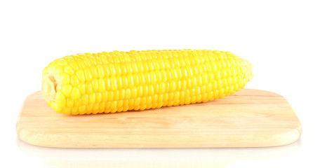 boiled corn isolated on white