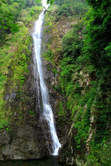 Obraz na płótnie Canvas forest Waterfall