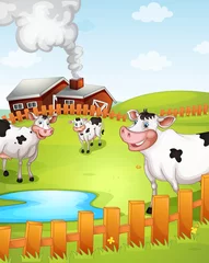 Papier Peint photo Ferme vaches qui paissent dans la ferme