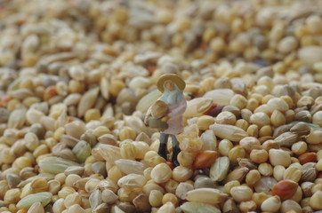 籠を持つ人形と鳥の餌