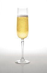 Champagne glass on white surface and background.