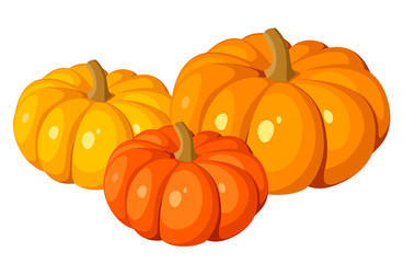 Obraz premium Vector illustration of three pumpkins.