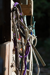 Matériel d'équitation © Boris V. 