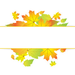 Autumn abstract background - 44330099