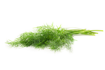 Fresh green dill on white