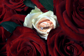 with love.. © exprokyror