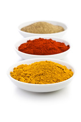 various colored spices
