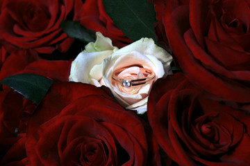 свадебное предложение © exprokyror