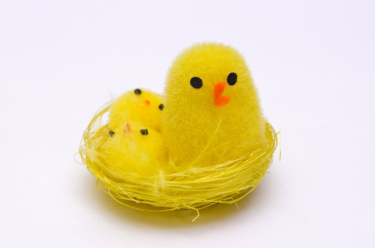 Easter Chicks in a Nest