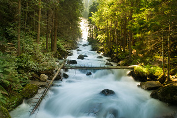 Cascade falls over mossy rocks