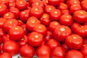 Group of tomatoes