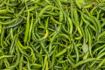 Group of green peppers