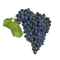 Fresh bunch of red wine on a white background