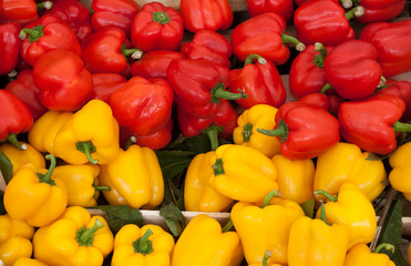 Group of red and yellow peppers