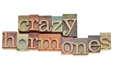 crazy hormones text  in wood type