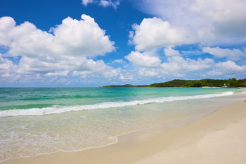 Fototapeta na wymiar beach and tropical sea under the bright blue sky at summer day