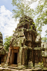 Ancient Ta Prohm Temple, Cambodia