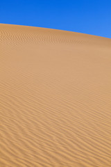 sand dune in sunrise in the desert