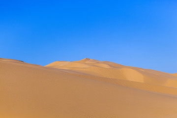sand dune in sunrise in the desert