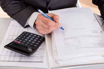 Accountant working at the office