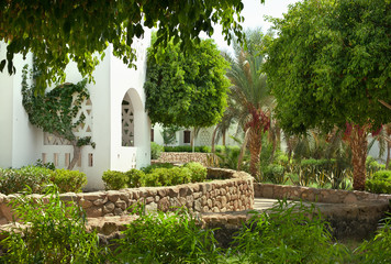 house surrounded with palms