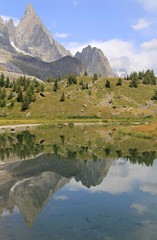 Fototapeta premium Vertical reflection of Aiguille noire
