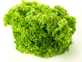 Head of green lettuce
