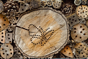 Mason Bee  and Insect House