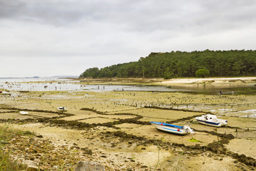 Fototapeta premium Shellfish farming on Ulla mouth