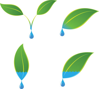 Green eco plant and water logo concepts