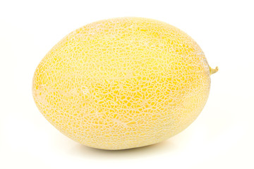 Single melon