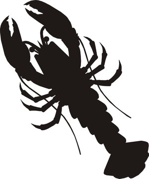 pictogramme homard