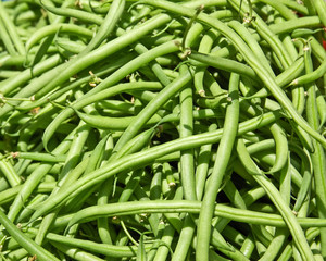 Green Beans for Sale