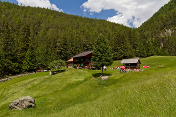 Wiesele Alm Niederthai