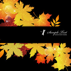 maple background © MisaoN